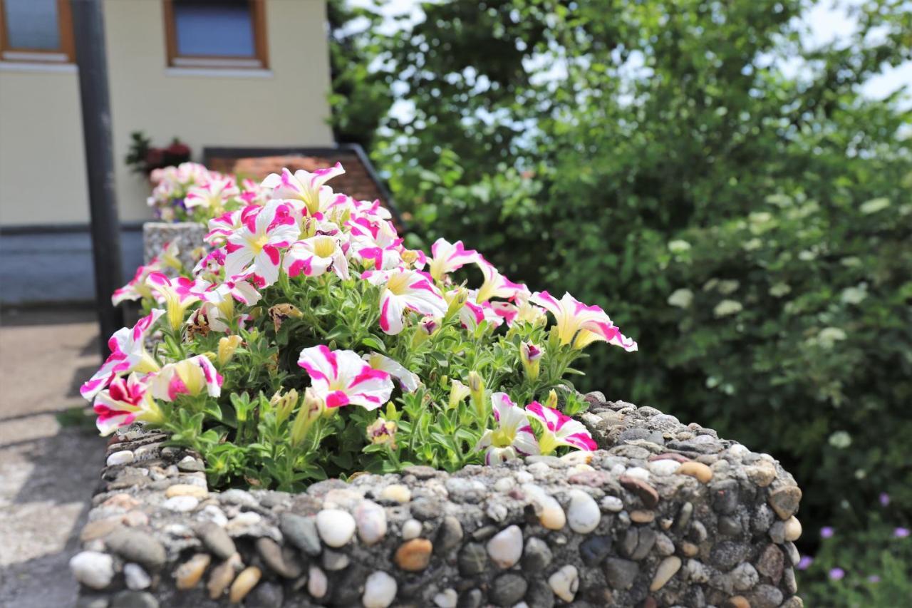 Gaestehaus Willaringen Rickenbach  Exterior foto